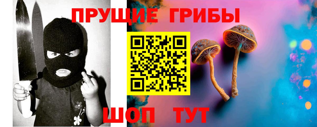 дарнет шоп  Вход с VPN  Зеленокумск  Галлюциногенные грибы мицелий  Галлюциногенные грибы мухоморы 
